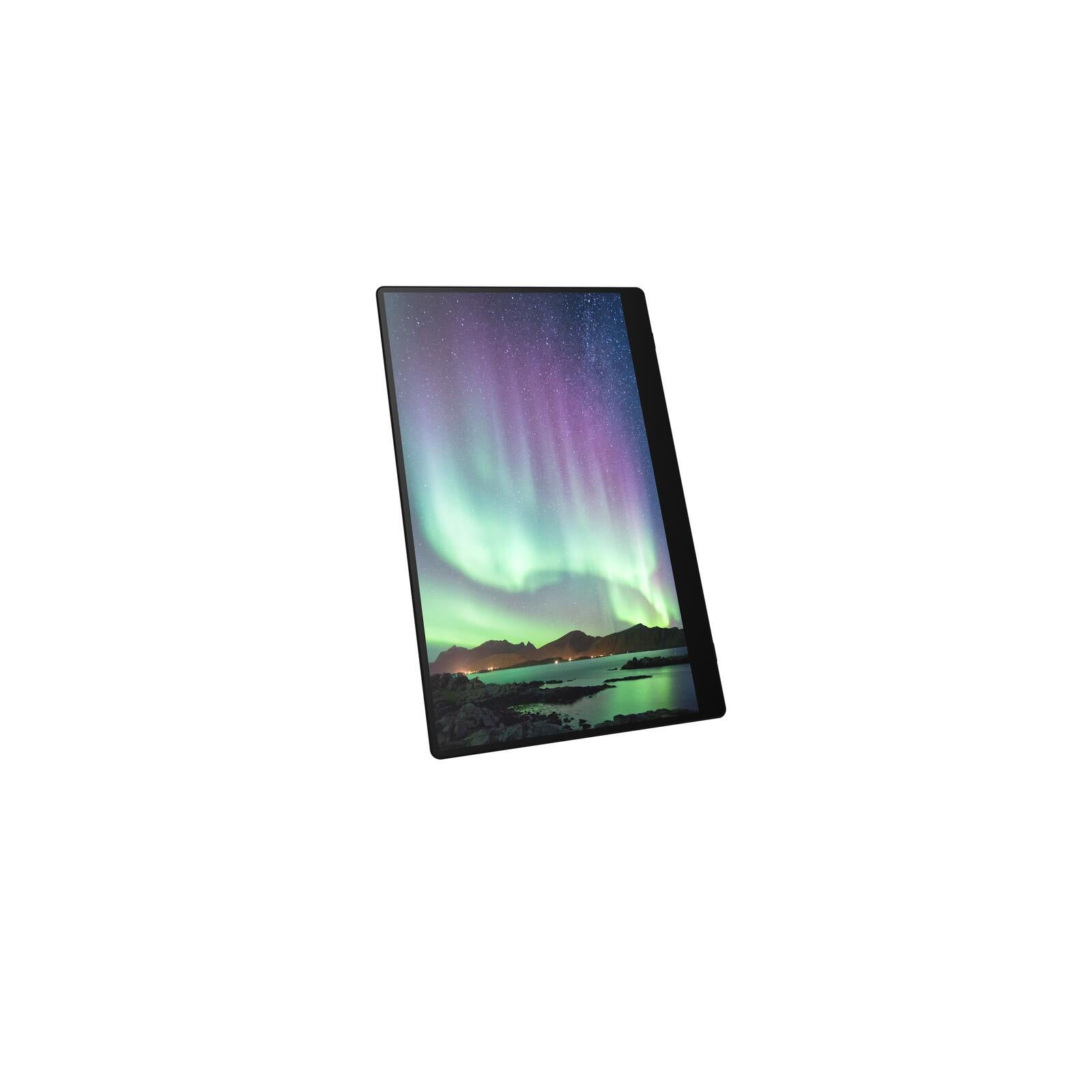 Ricoh 150 mobiler Multi-Touch Monitor 39,60cm (15,6') Ricoh 150 mobiler Multi-Touch Monitor 39,60cm (15,6')